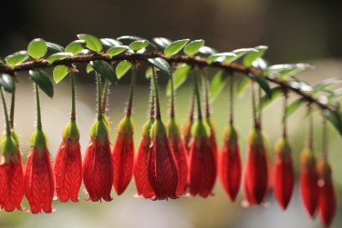 珠海斗门区6私人快速借钱网，轻松解决资金难题