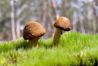 珠海斗门区6私人老板放款：轻松融资的秘密通道